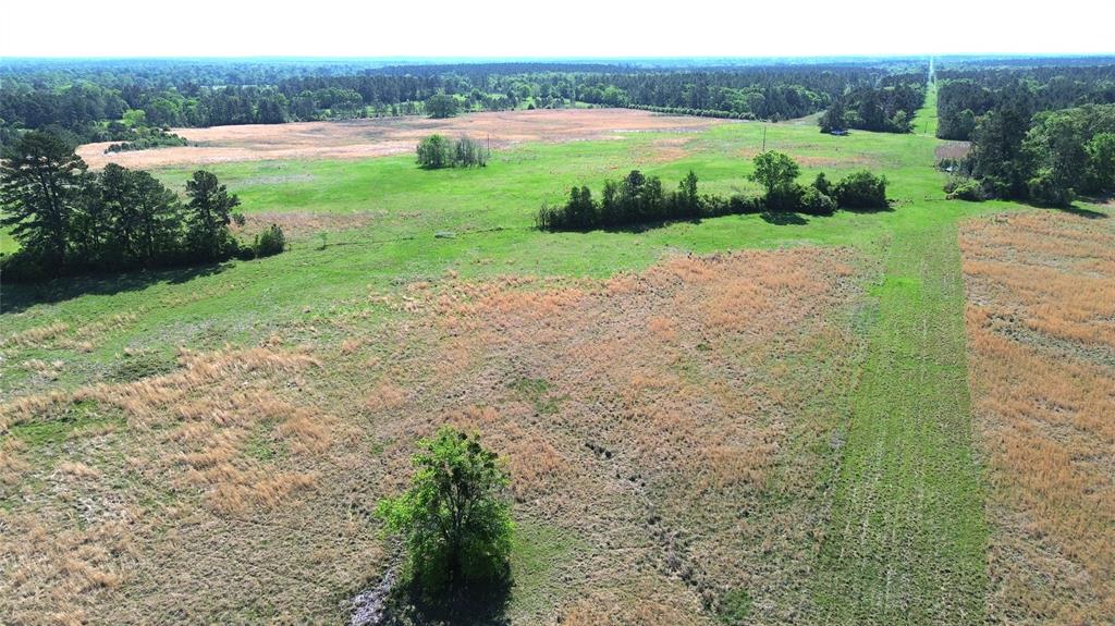 TBD County Road 4030, Crockett, Texas image 16