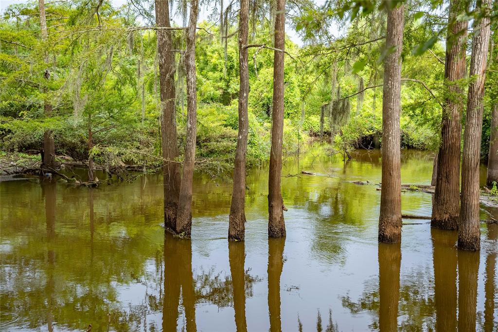 TBD Cr 4113, Call, Texas image 42