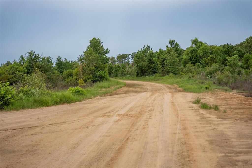 TBD Cr 4113, Call, Texas image 46