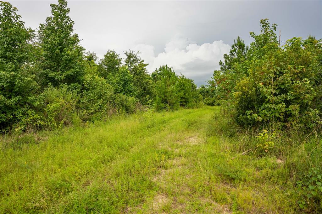 TBD Cr 4113, Call, Texas image 39