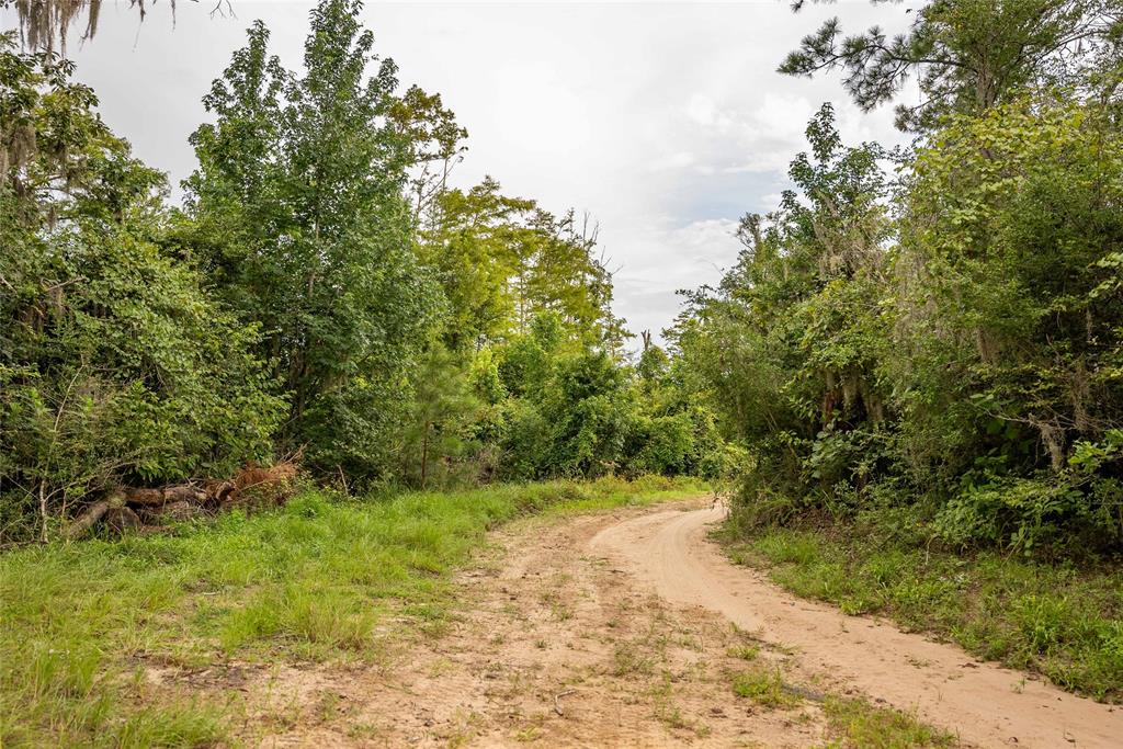 TBD Cr 4113, Call, Texas image 45