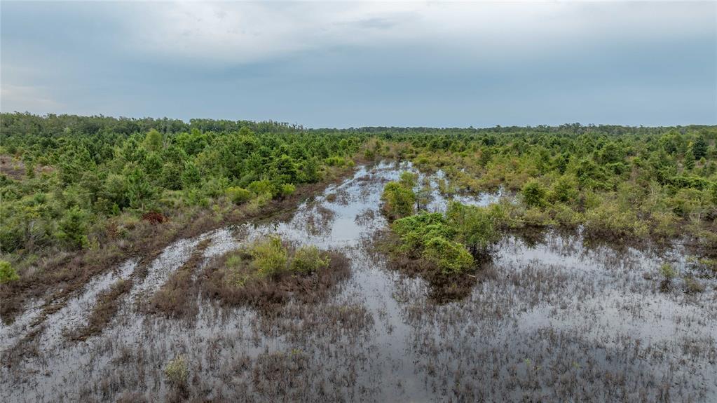 TBD Cr 4113, Call, Texas image 36