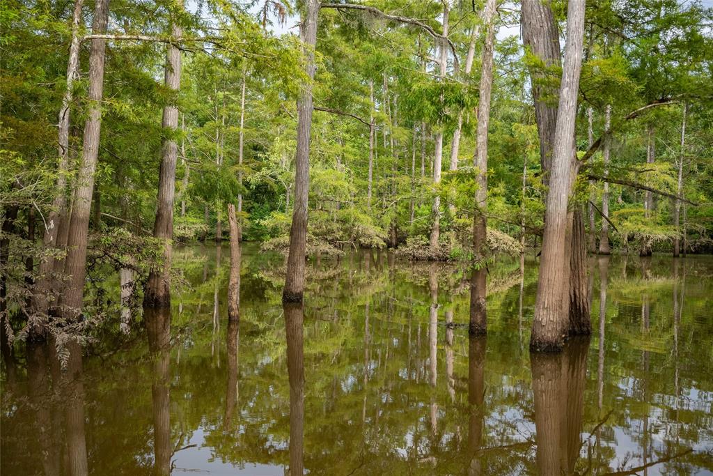 TBD Cr 4113, Call, Texas image 41