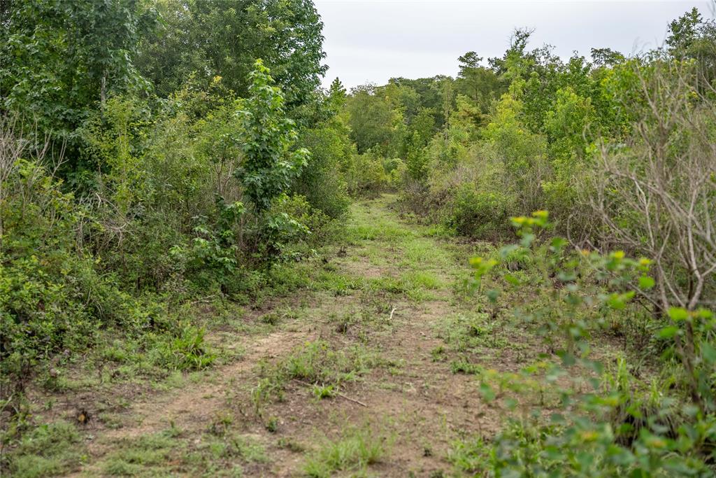 TBD Cr 4113, Call, Texas image 38