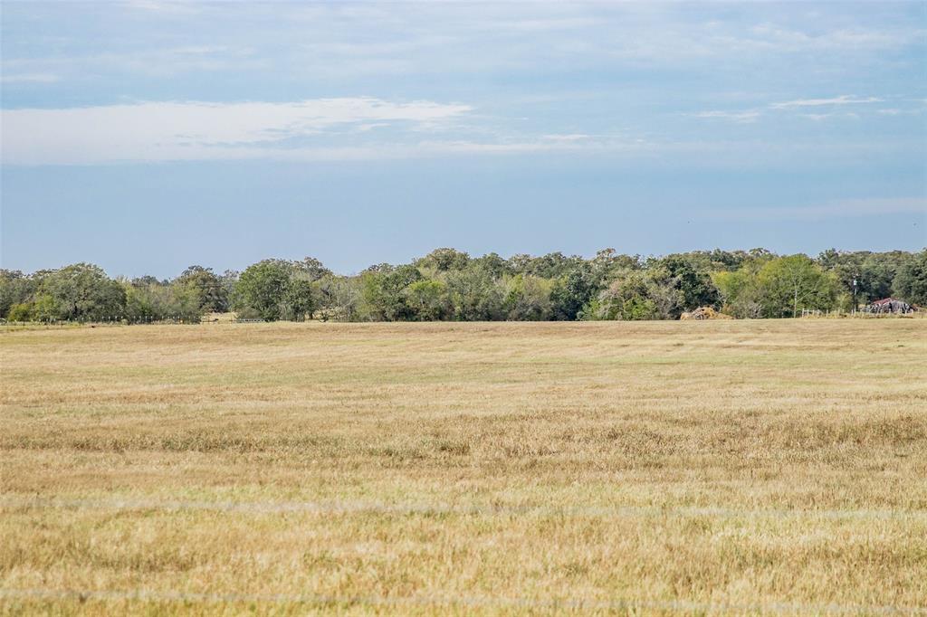 TBD County Road 236, Caldwell, Texas image 21