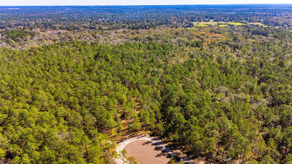 035 Magnolia Ranch Road Road, Onalaska, Texas image 6