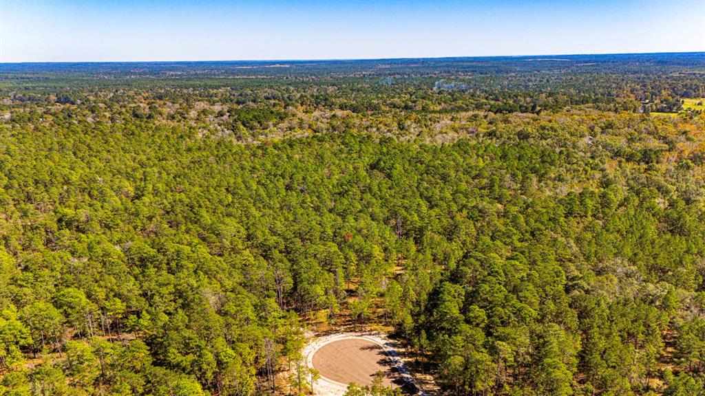 035 Magnolia Ranch Road Road, Onalaska, Texas image 7