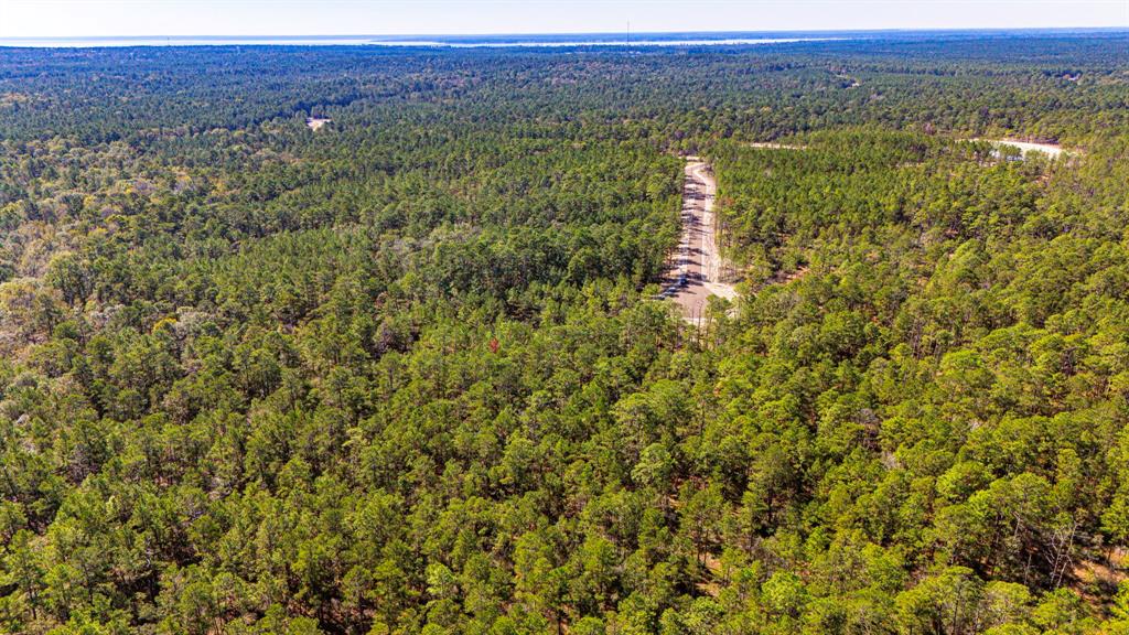 035 Magnolia Ranch Road Road, Onalaska, Texas image 10