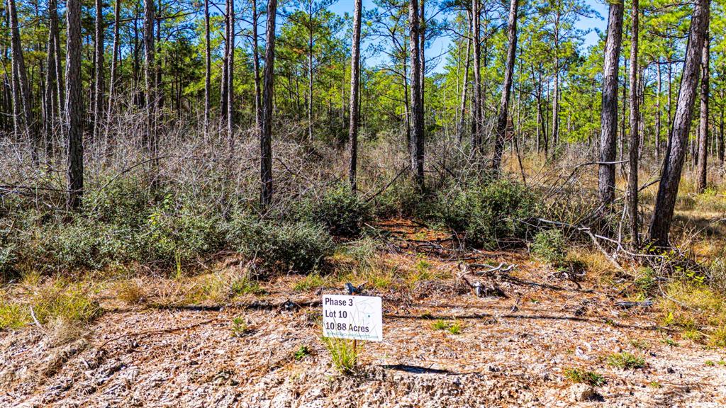 035 Magnolia Ranch Road Road, Onalaska, Texas image 5