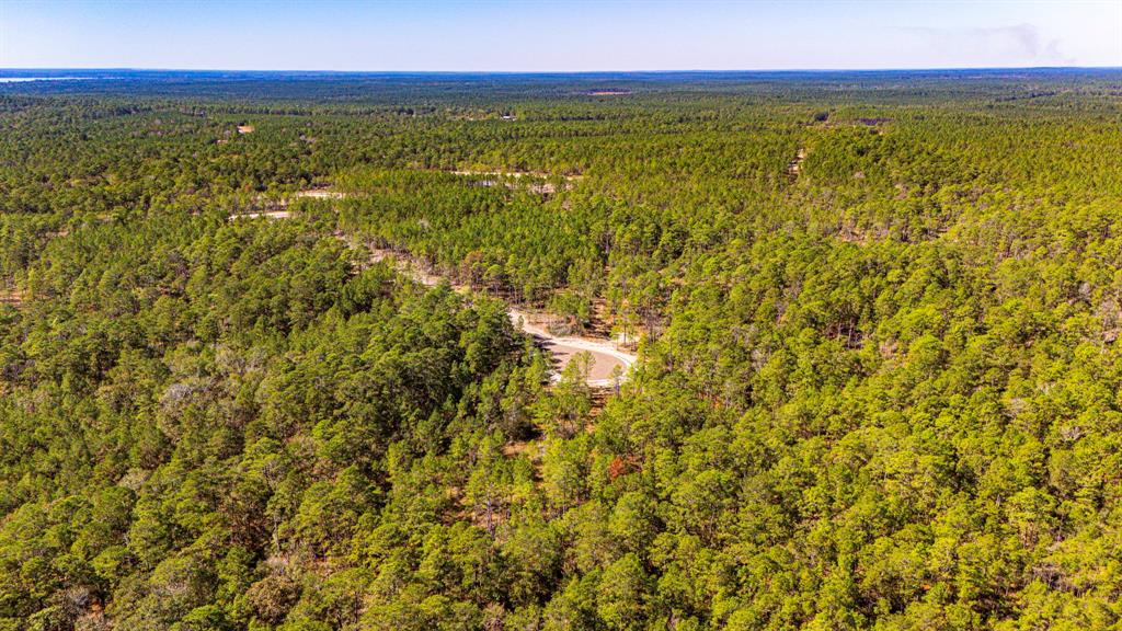 035 Magnolia Ranch Road Road, Onalaska, Texas image 9