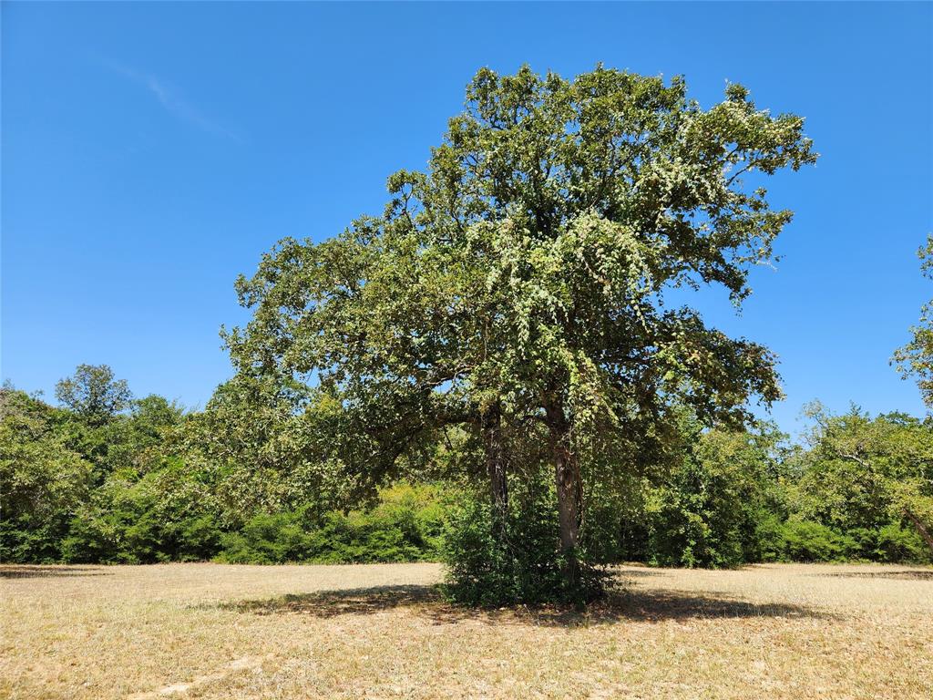 1097 N Pr 1270, Centerville, Texas image 39