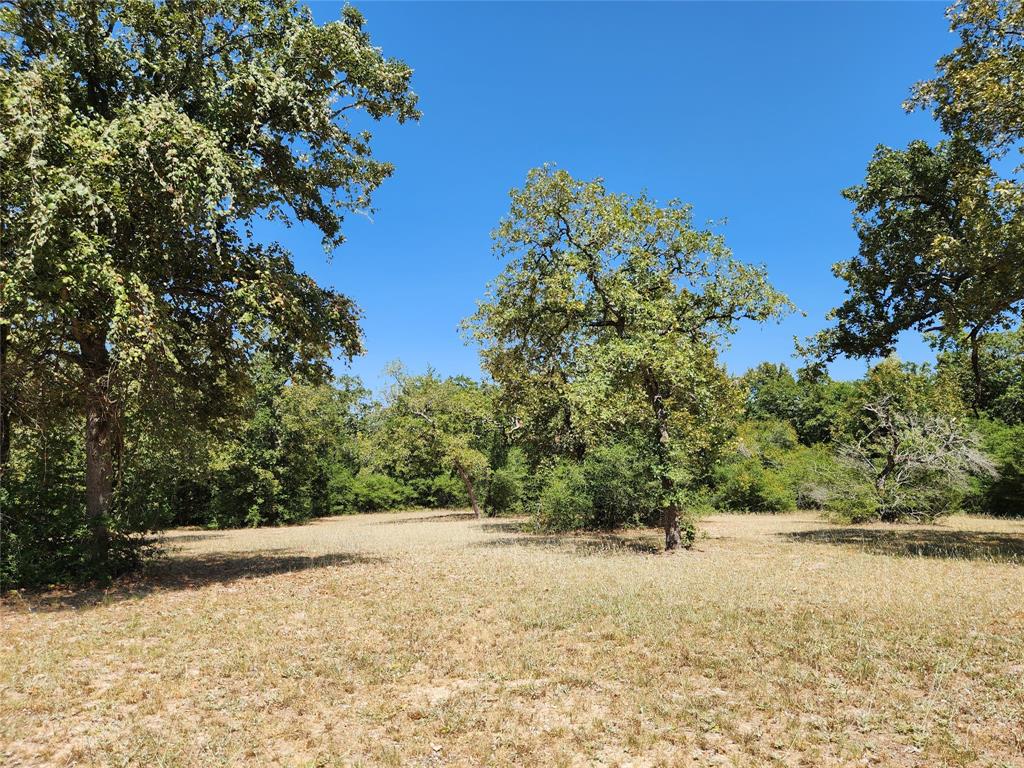 1097 N Pr 1270, Centerville, Texas image 38