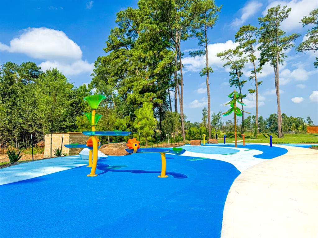 635 Millicent Lakes Drive, Willis, Texas image 22
