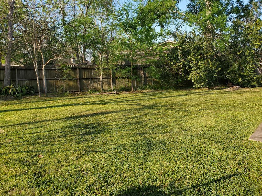 114 Lottie Lane, Friendswood, Texas image 24