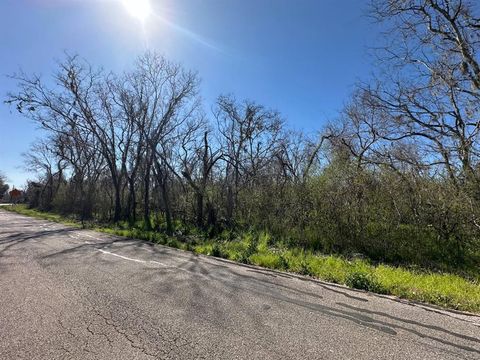 Vacant Land For Sale - Tbd Cr 703<br/> West Columbia, TX 77486