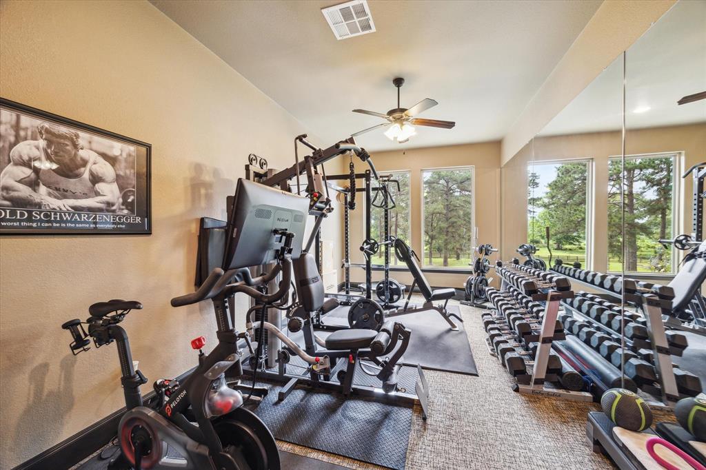 24519 Old Windmill Trail, Hockley, Texas image 36
