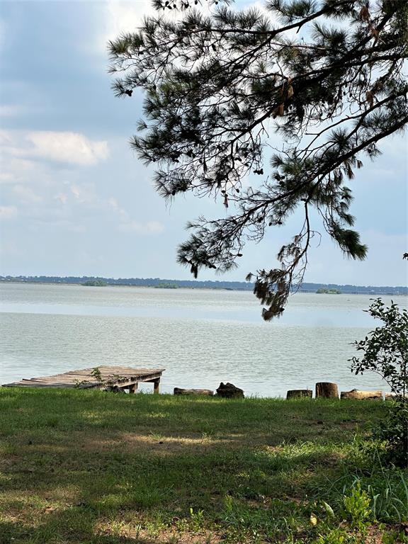21110 Atascocita Place Drive