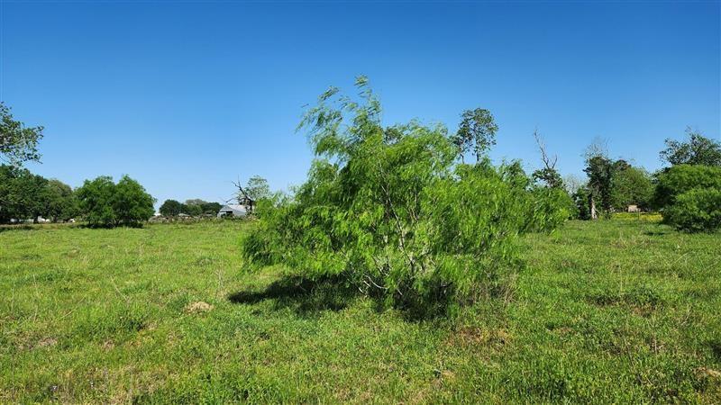 Sterling Road, Pattison, Texas image 10