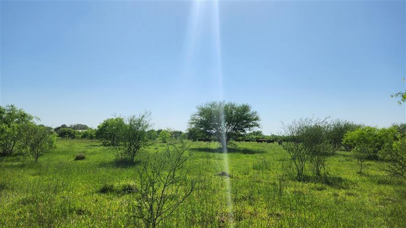 Sterling Road, Pattison, Texas image 7