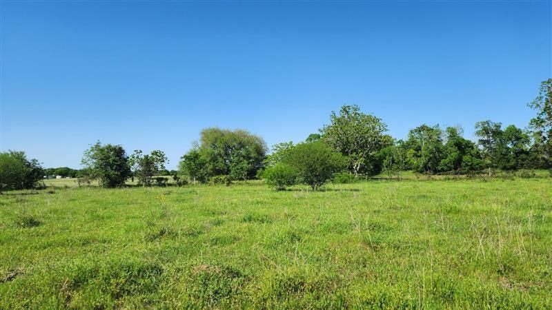 Sterling Road, Pattison, Texas image 6