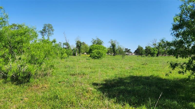 Sterling Road, Pattison, Texas image 9