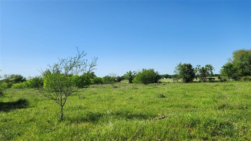 Sterling Road, Pattison, Texas image 11