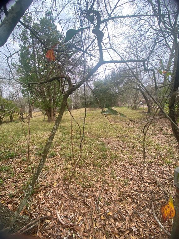 2875 Goliad Street, Beaumont, Texas image 2