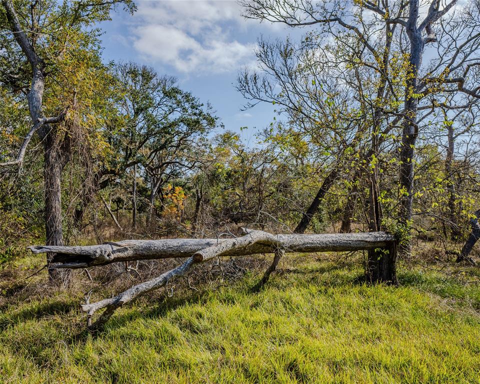 39A County Road 297, Sargent, Texas image 27