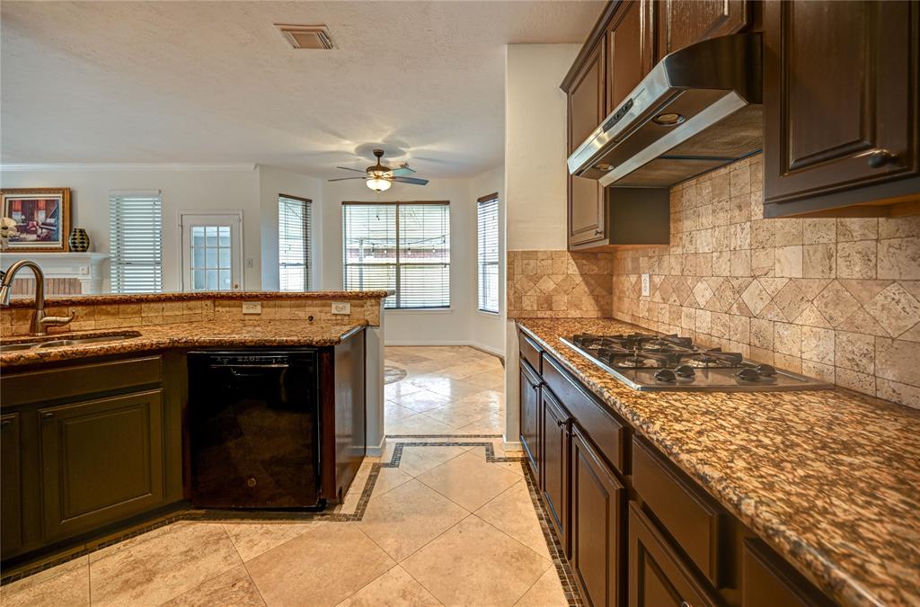 11906 Dinosaur Valley Drive, Sugar Land, Texas image 14