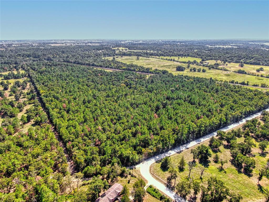 00 County Rd 151, Bedias, Texas image 15