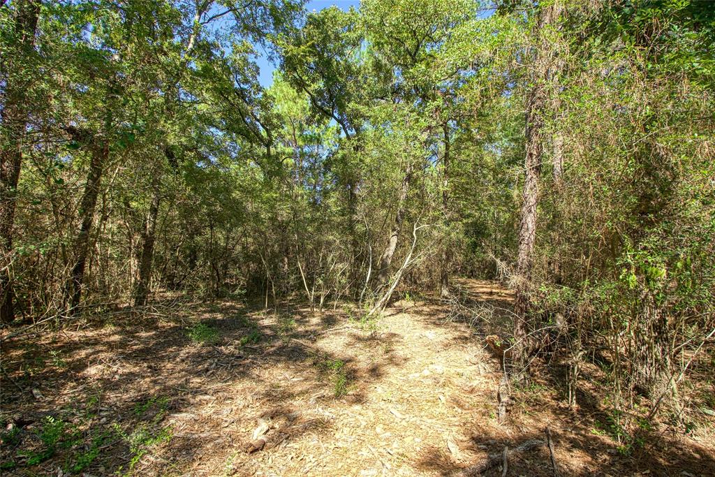 00 County Rd 151, Bedias, Texas image 8