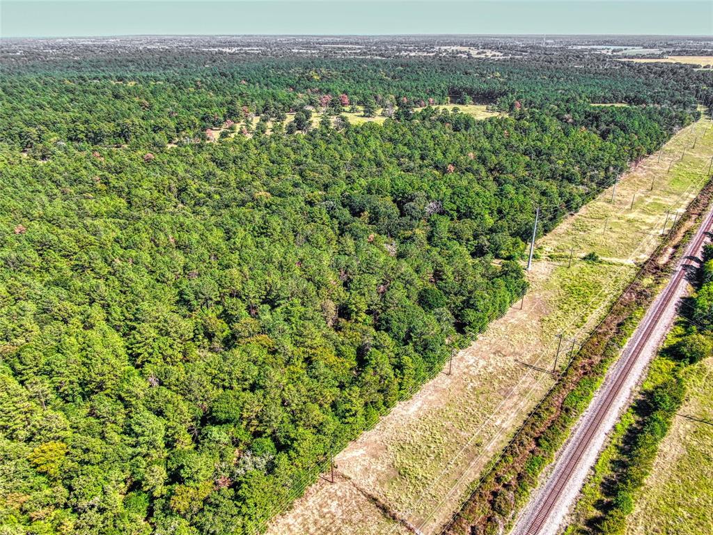 00 County Rd 151, Bedias, Texas image 14