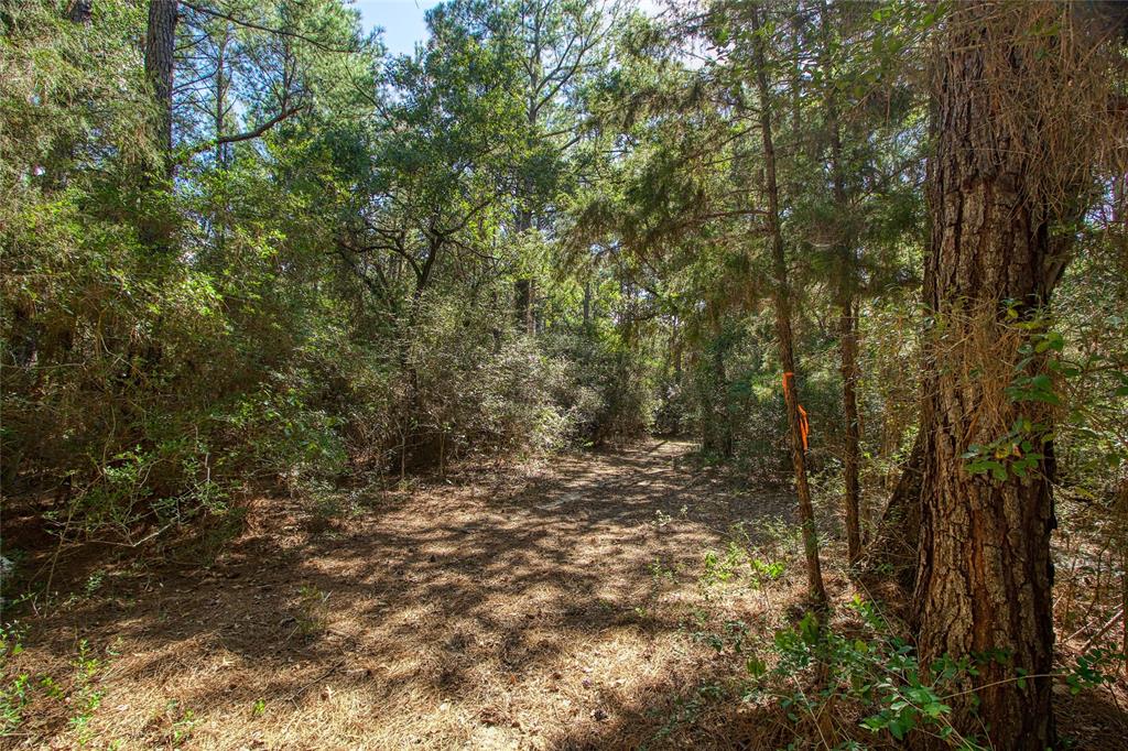 00 County Rd 151, Bedias, Texas image 10