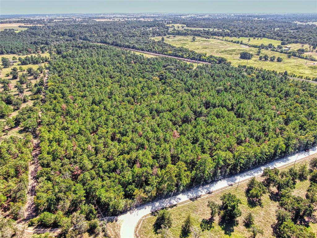 00 County Rd 151, Bedias, Texas image 2