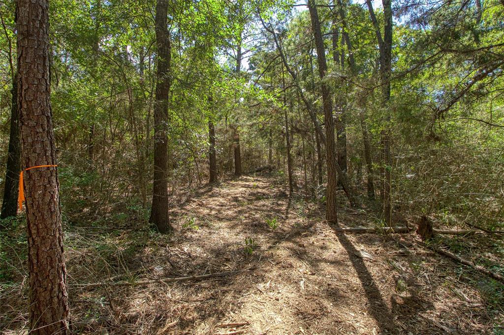 00 County Rd 151, Bedias, Texas image 7