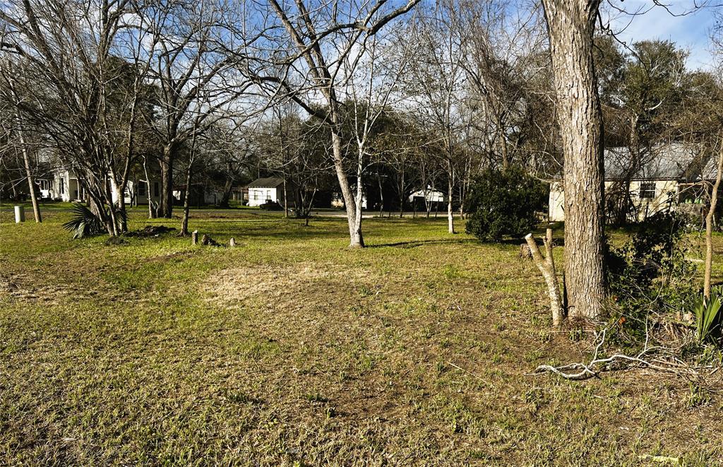 210 Shropshire Street, El Campo, Texas image 4
