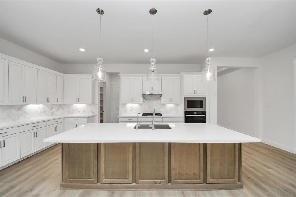 19722 Silver Saddle Lane, Tomball, Texas image 31