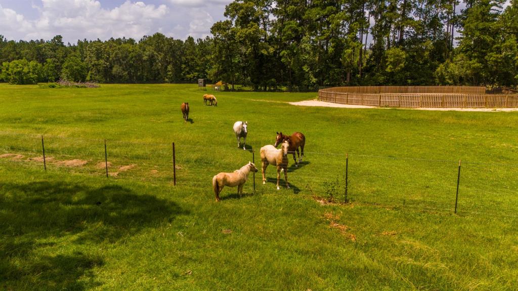 6566 Fm 2666, Shepherd, Texas image 12