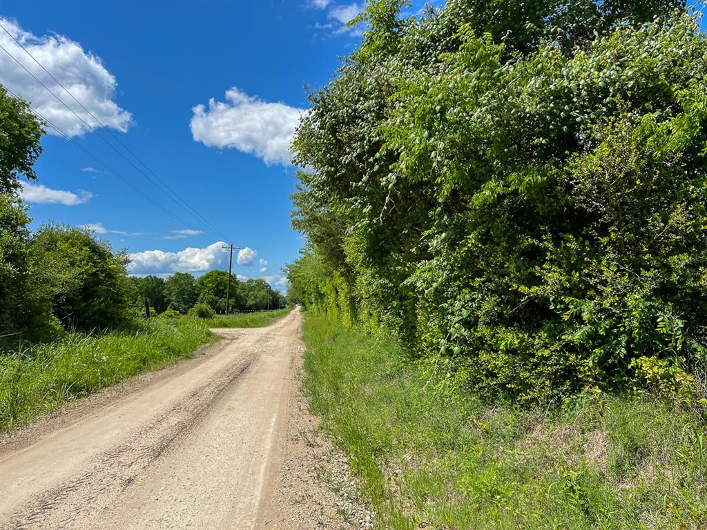 0000000 County Road 3625a, Lovelady, Texas image 6