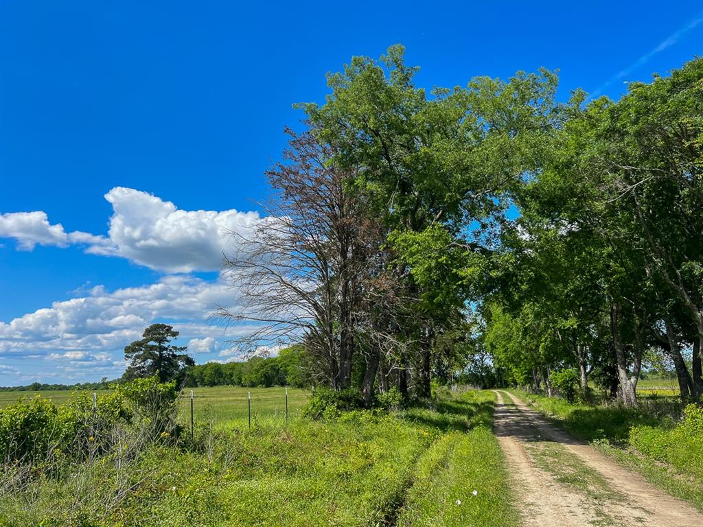 0000000 County Road 3625a, Lovelady, Texas image 4