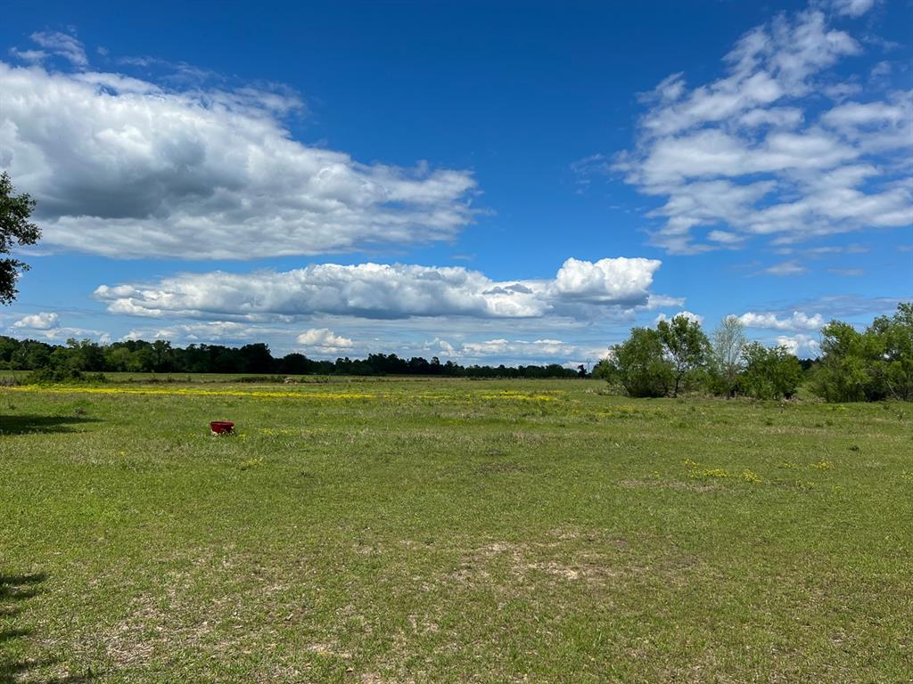 0000000 County Road 3625a, Lovelady, Texas image 3