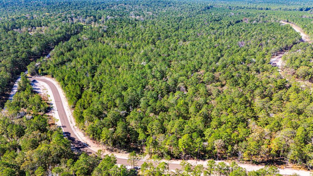 016 King Ranch Road, Onalaska, Texas image 3