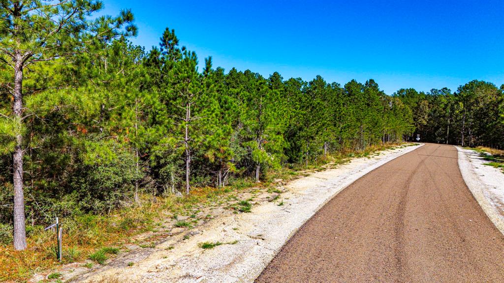 016 King Ranch Road, Onalaska, Texas image 6