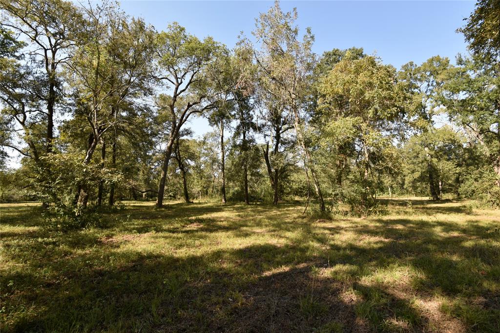 15415 Tierra Grande Drive, Needville, Texas image 18