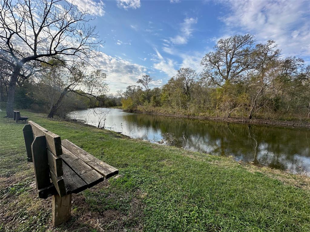 15415 Tierra Grande Drive, Needville, Texas image 44