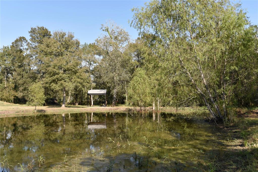 15415 Tierra Grande Drive, Needville, Texas image 4