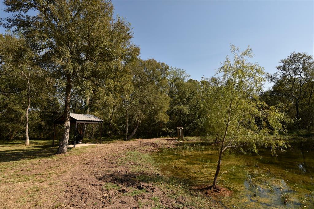 15415 Tierra Grande Drive, Needville, Texas image 6