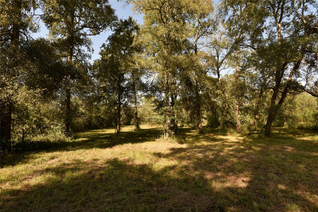 15415 Tierra Grande Drive, Needville, Texas image 22