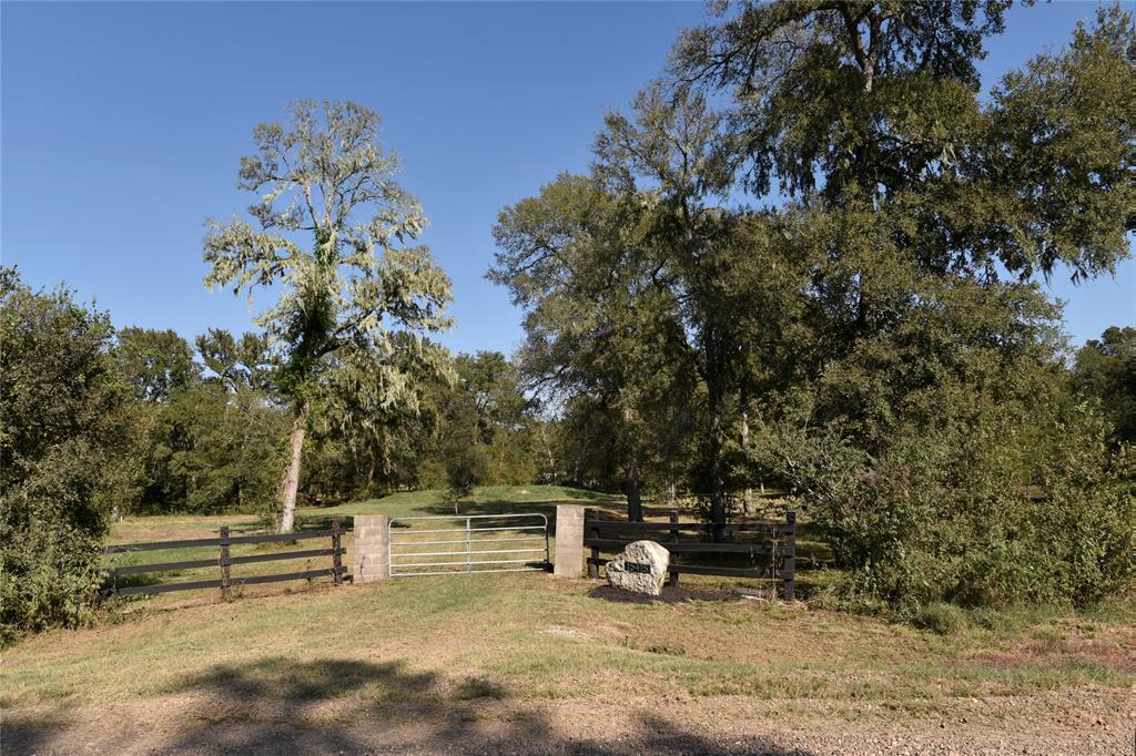 15415 Tierra Grande Drive, Needville, Texas image 37