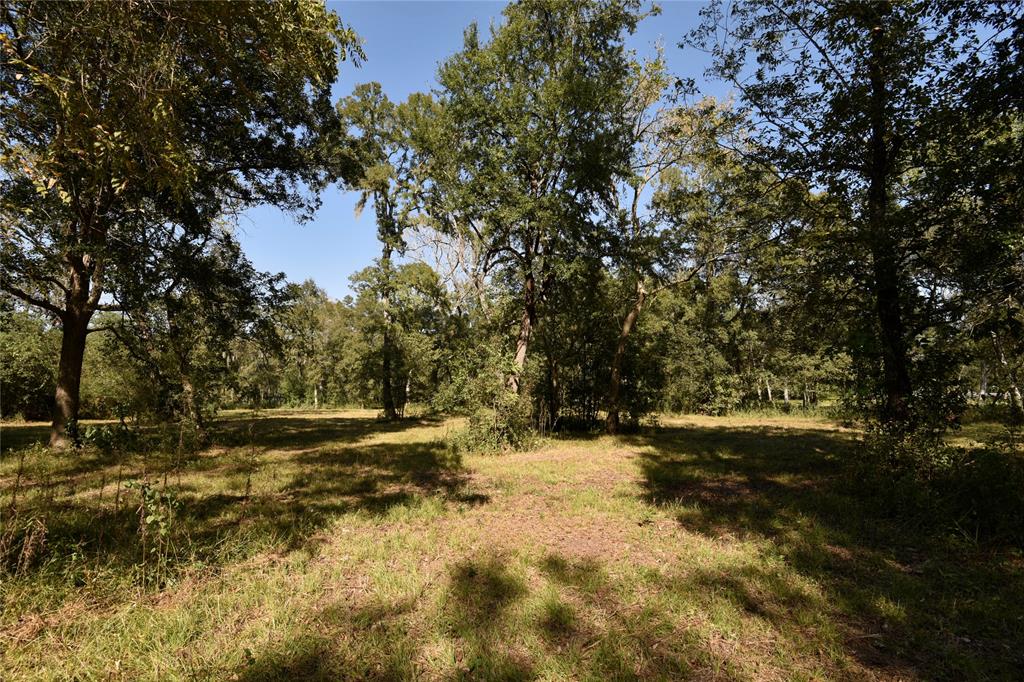 15415 Tierra Grande Drive, Needville, Texas image 21